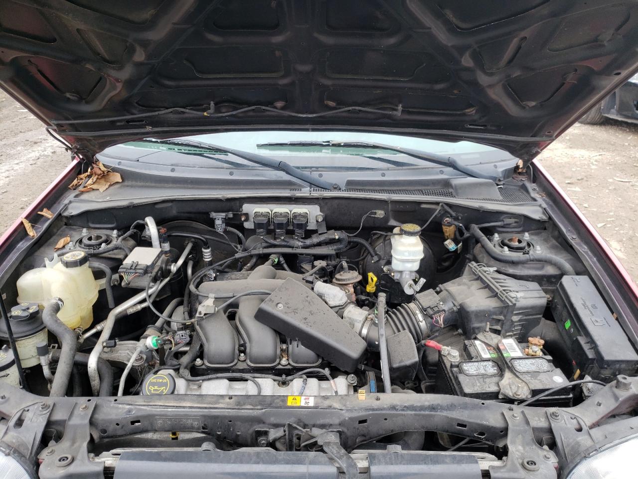 Photo 7 from auction – 2006 FORD ESCAPE with VIN 1FMYU03146KB08769