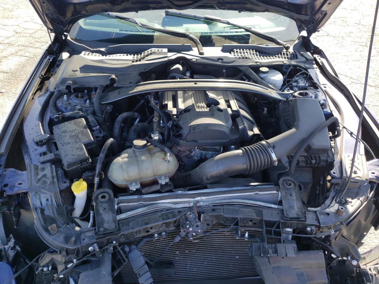 Photo 7 from auction – 2019 FORD MUSTANG with VIN 1FA6P8TH8K5143859