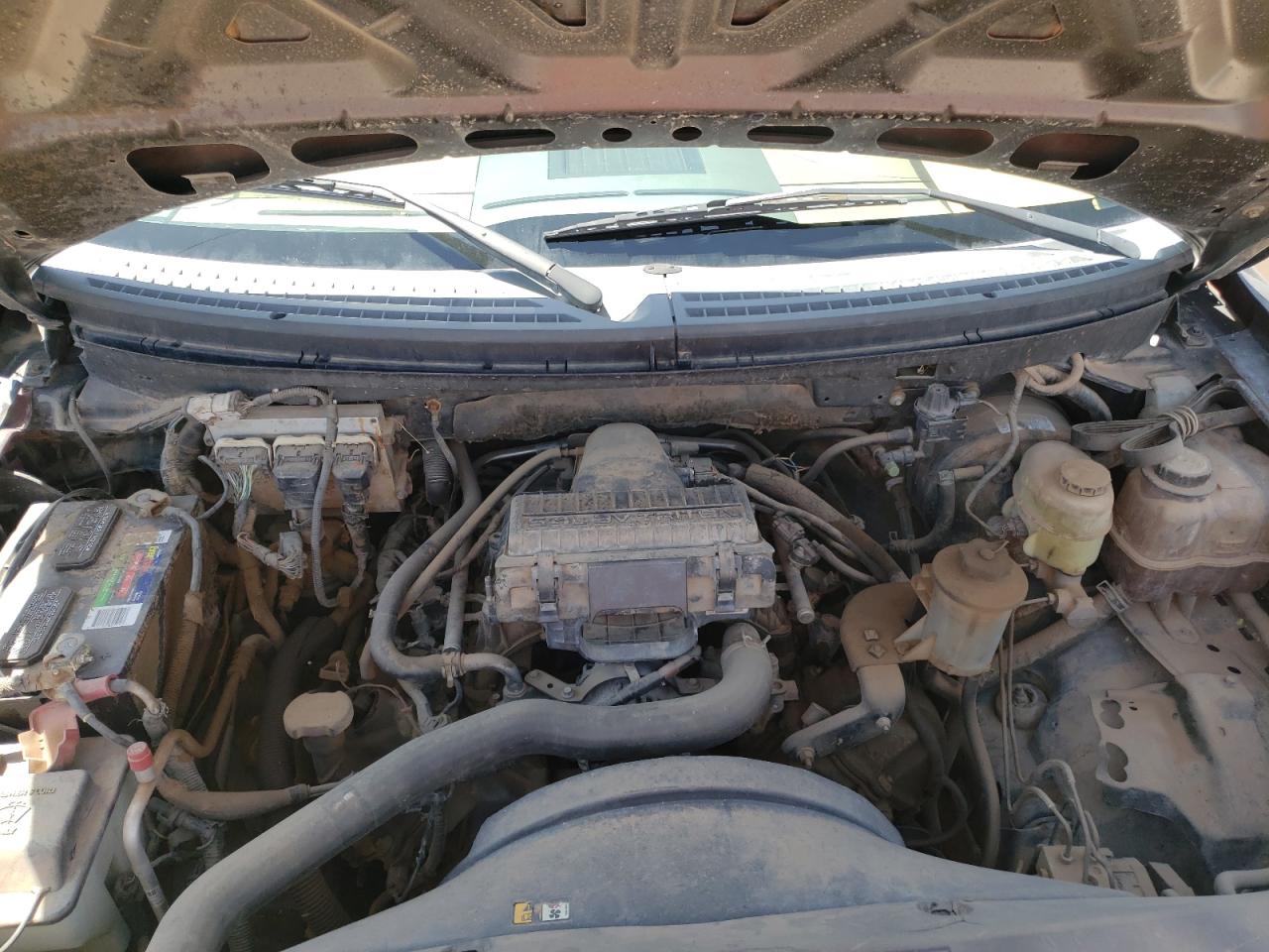 Photo 7 from auction – 2006 FORD F150 SUPER with VIN 1FTPW125X6FA21116