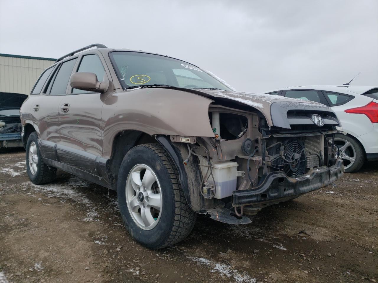 HYUNDAI SANTA FE 2005 with VIN KM8SB13D85U012156 - Photo from auction