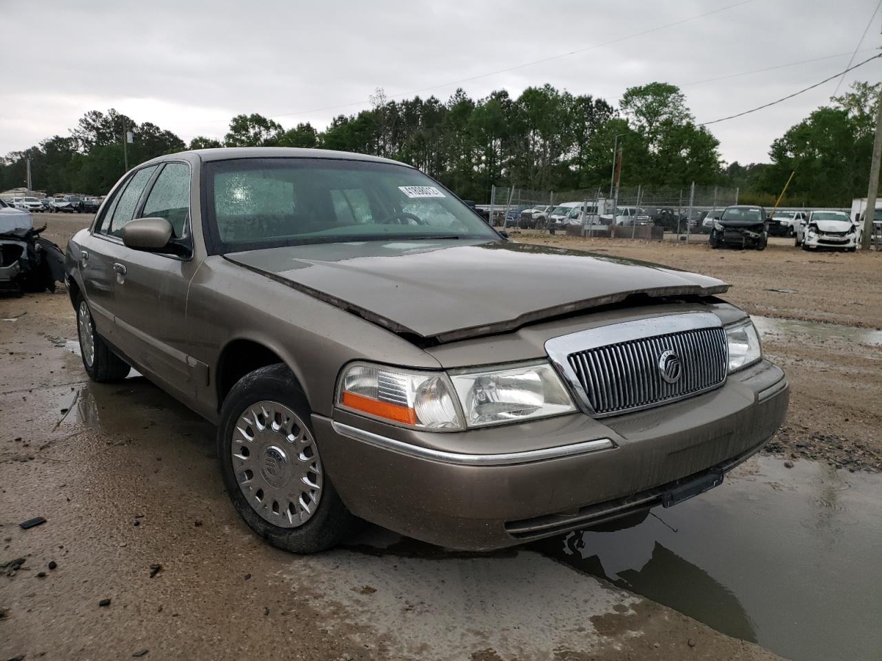 MERCURY GRAND MARQ 2003 with VIN 2MEFM74WX3X640324 - Photo from auction