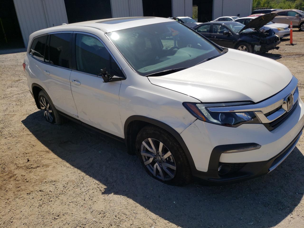 HONDA PILOT EXL 2019 with VIN 5FNYF5H55KB033157 - Photo from auction