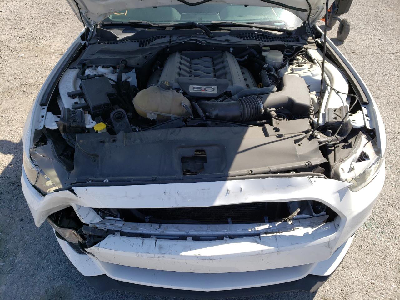 Photo 7 from auction – 2016 FORD MUSTANG GT with VIN 1FA6P8CF6G5221237