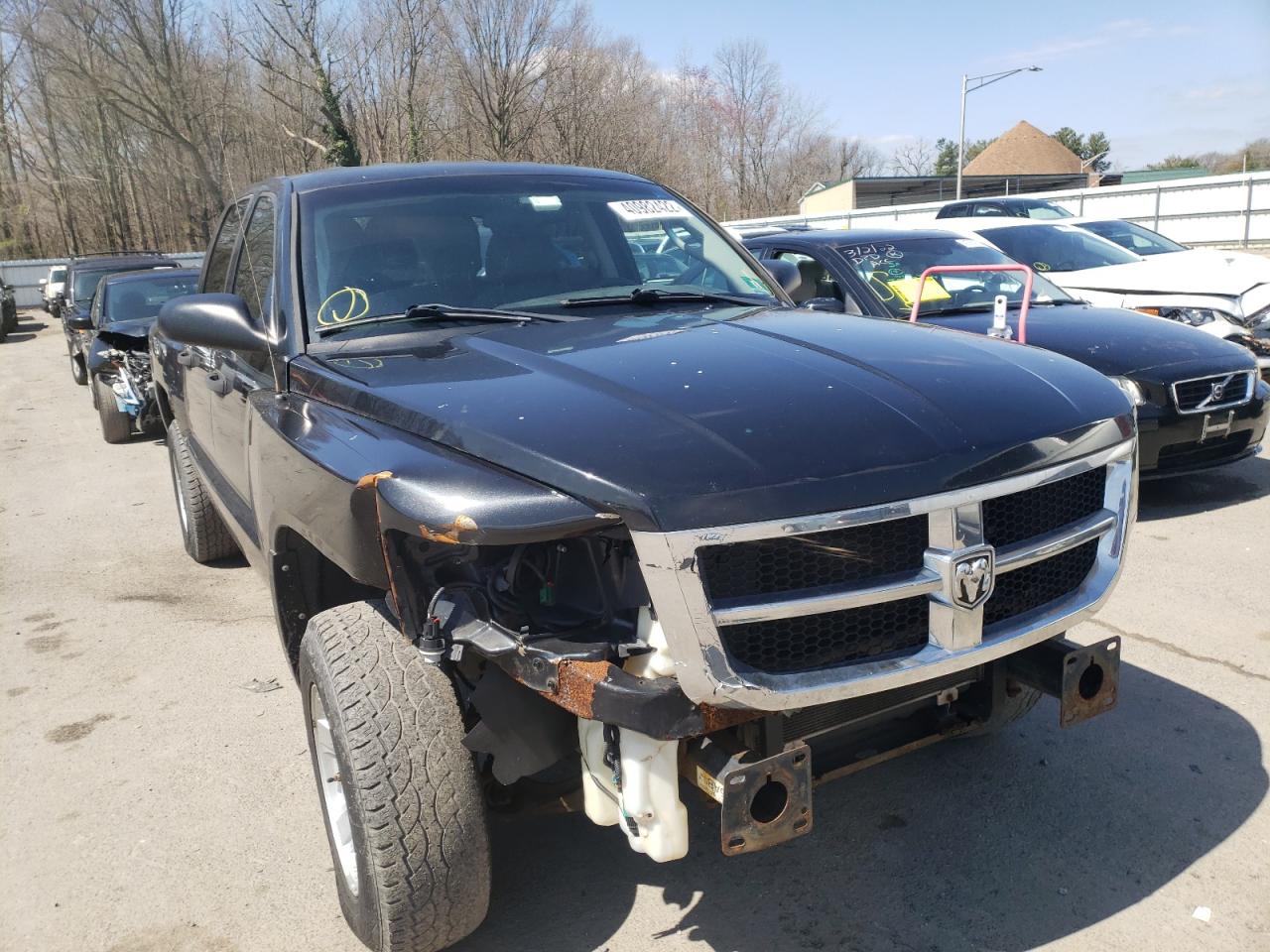 DODGE DAKOTA SXT 2008 with VIN 1D7HW38K08S531844 - Photo from auction