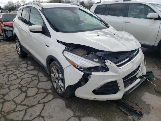 FORD ESCAPE TIT 2014 with VIN 1FMCU0J99EUE20608 - Photo from auction