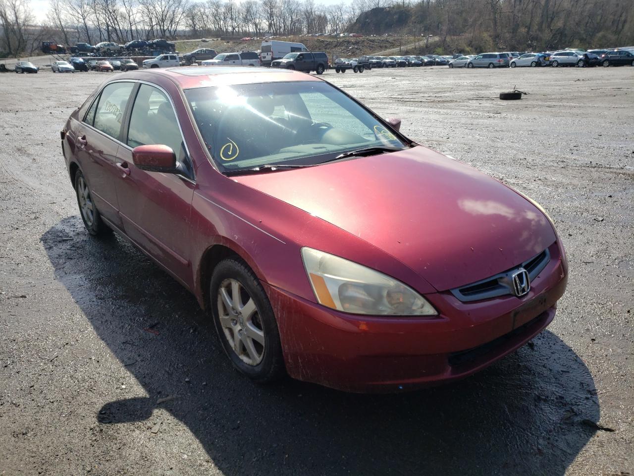 Photo 1 from auction – 2005 HONDA ACCORD EX with VIN 1HGCM66565A044398