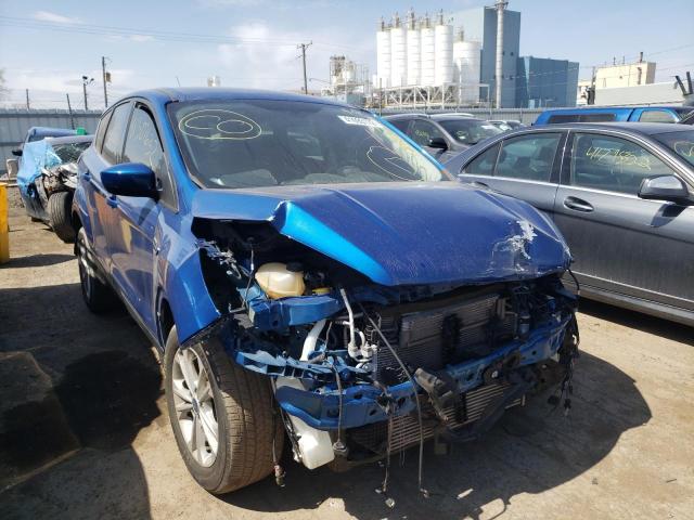 FORD ESCAPE XLT 2011 with VIN 1FMCU0G9XHUB65334 - Photo from auction