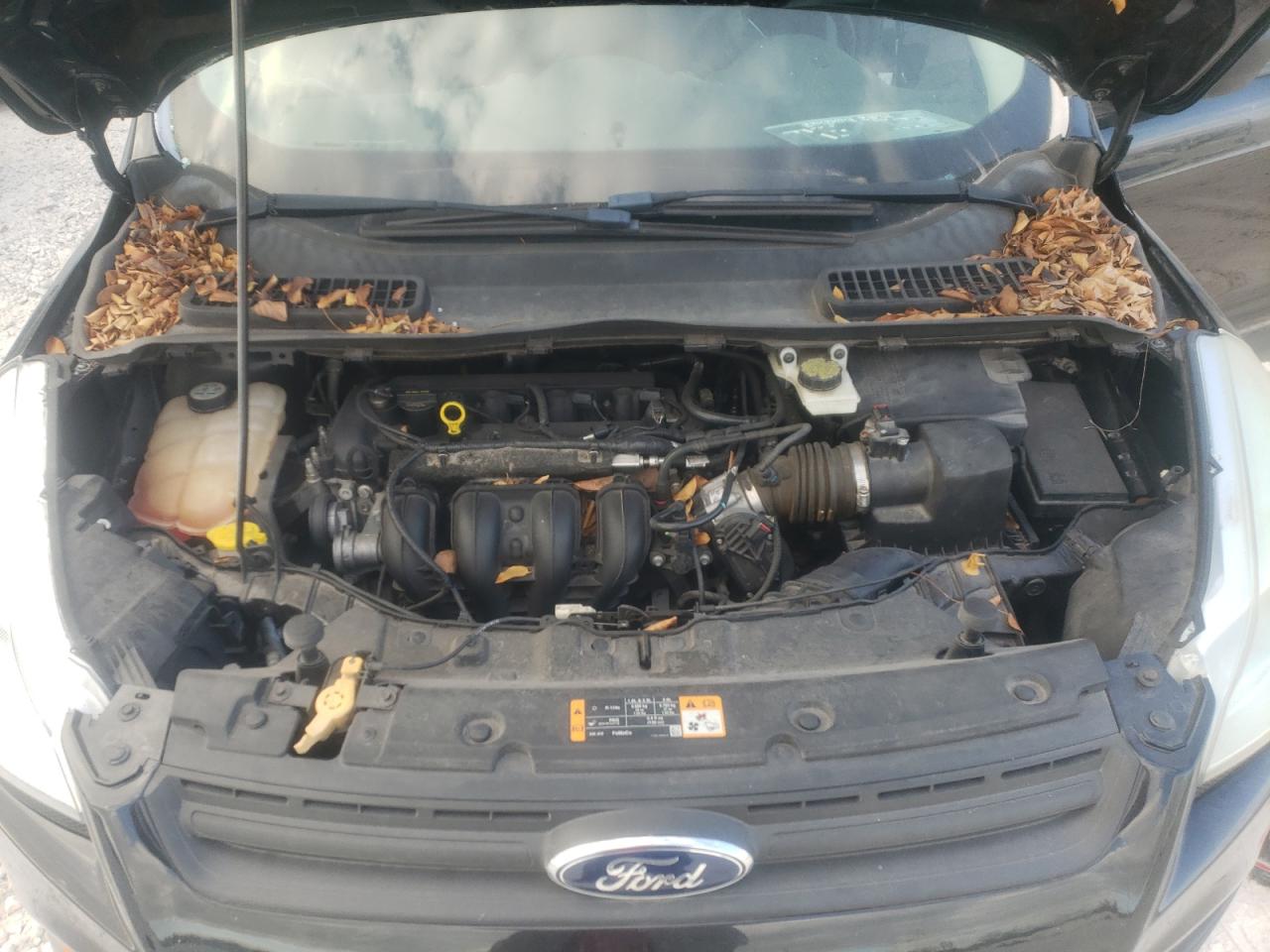 Photo 7 from auction – 2013 FORD ESCAPE S with VIN 1FMCU0F70DUB43773