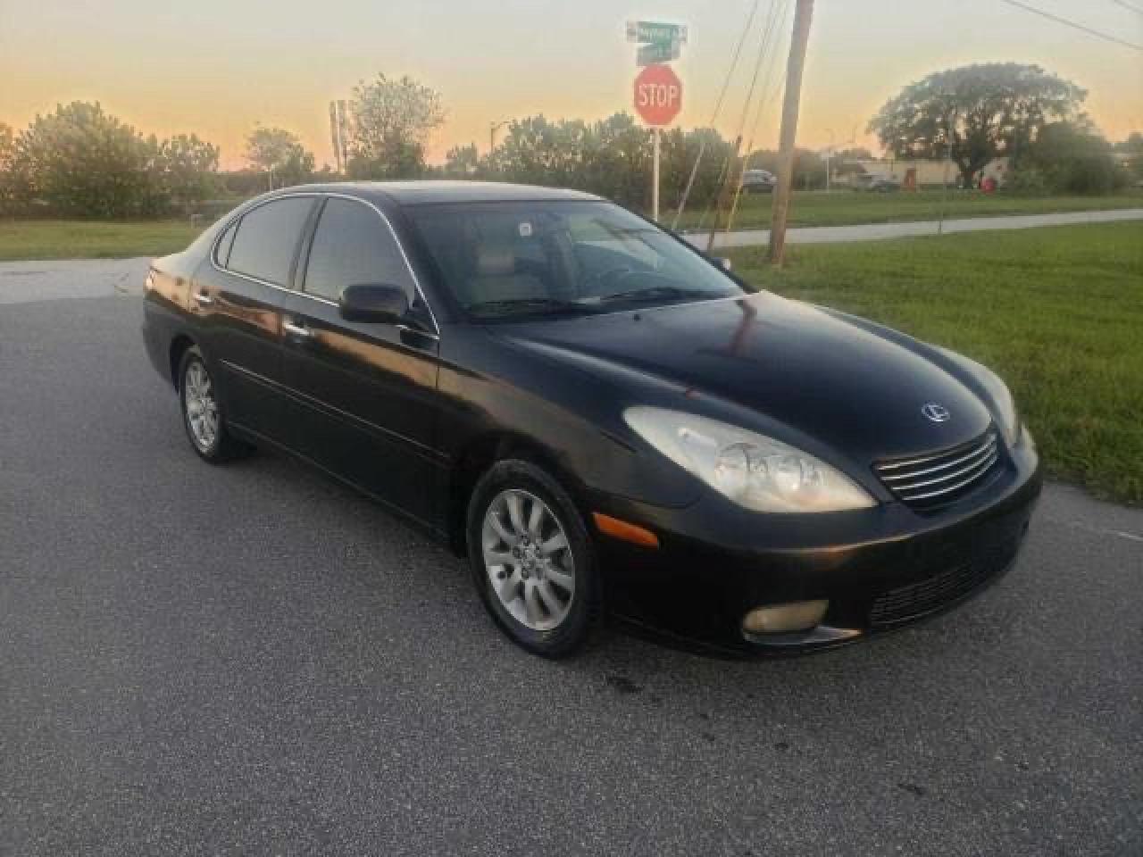 LEXUS ES 300 2002 with VIN JTHBF30G020013354 - Photo from auction