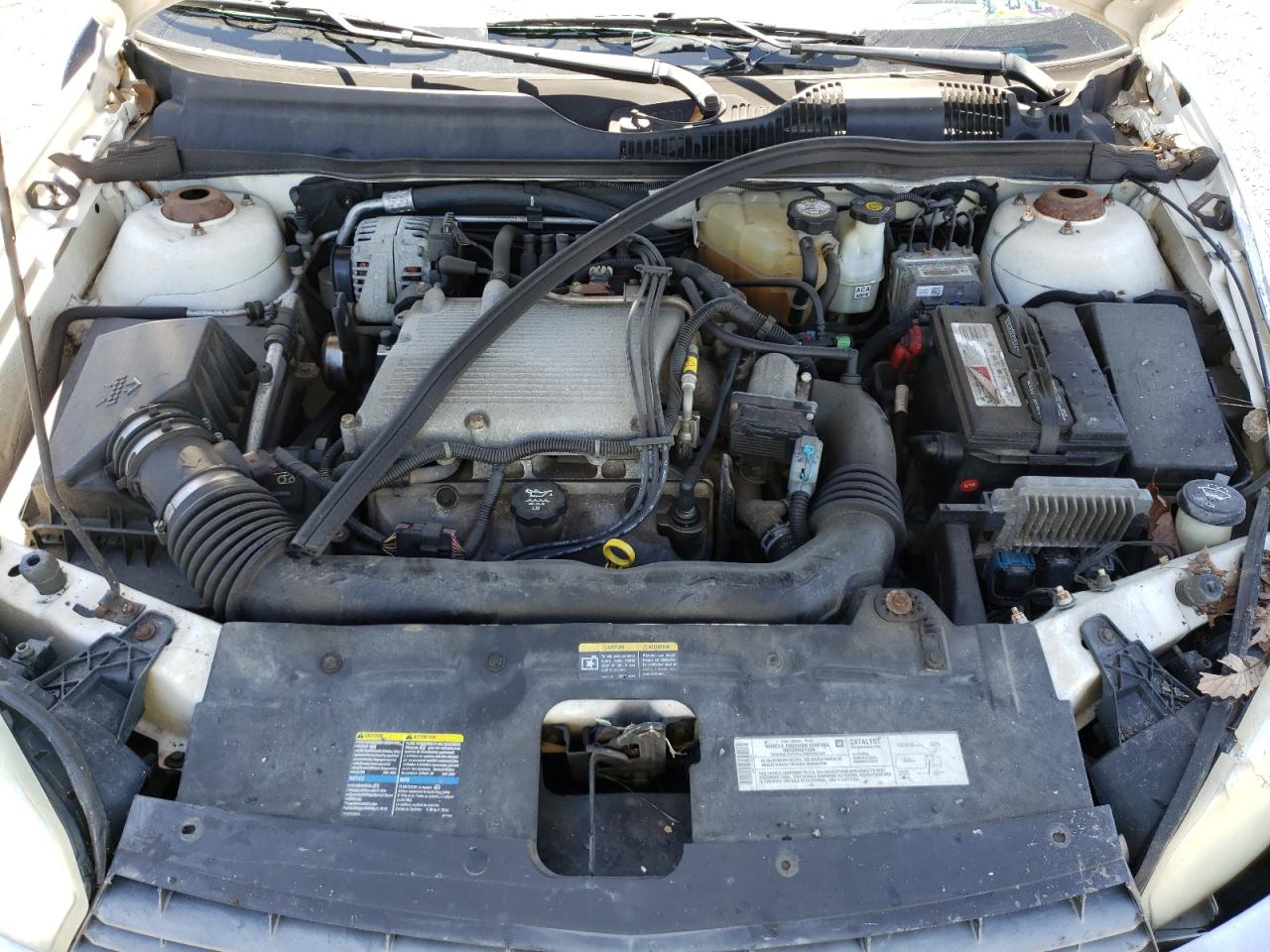 Photo 7 from auction – 2004 CHEVROLET MALIBU MAX with VIN 1G1ZT64864F170067