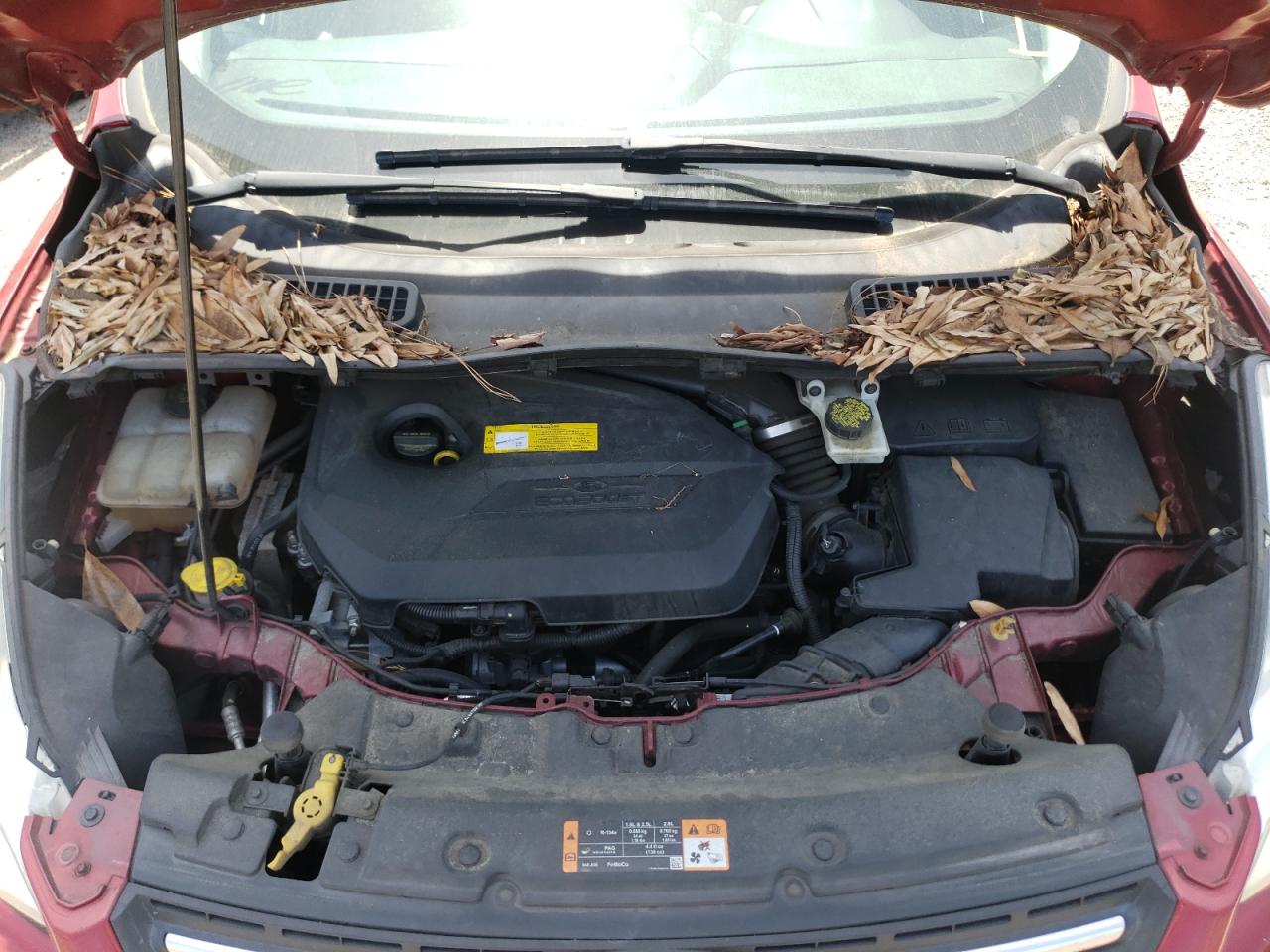 Photo 7 from auction – 2015 FORD ESCAPE SE with VIN 1FMCU0GXXFUC32381