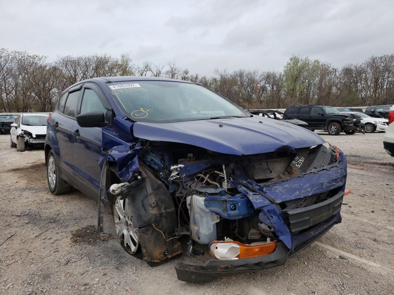 FORD ESCAPE S 2013 with VIN 1FMCU0F73DUC43138 - Photo from auction