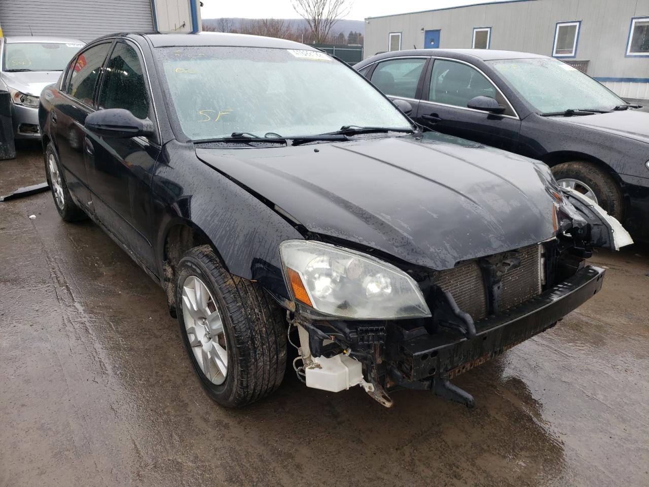 NISSAN ALTIMA S 2005 with VIN 1N4AL11D55C360329 - Photo from auction