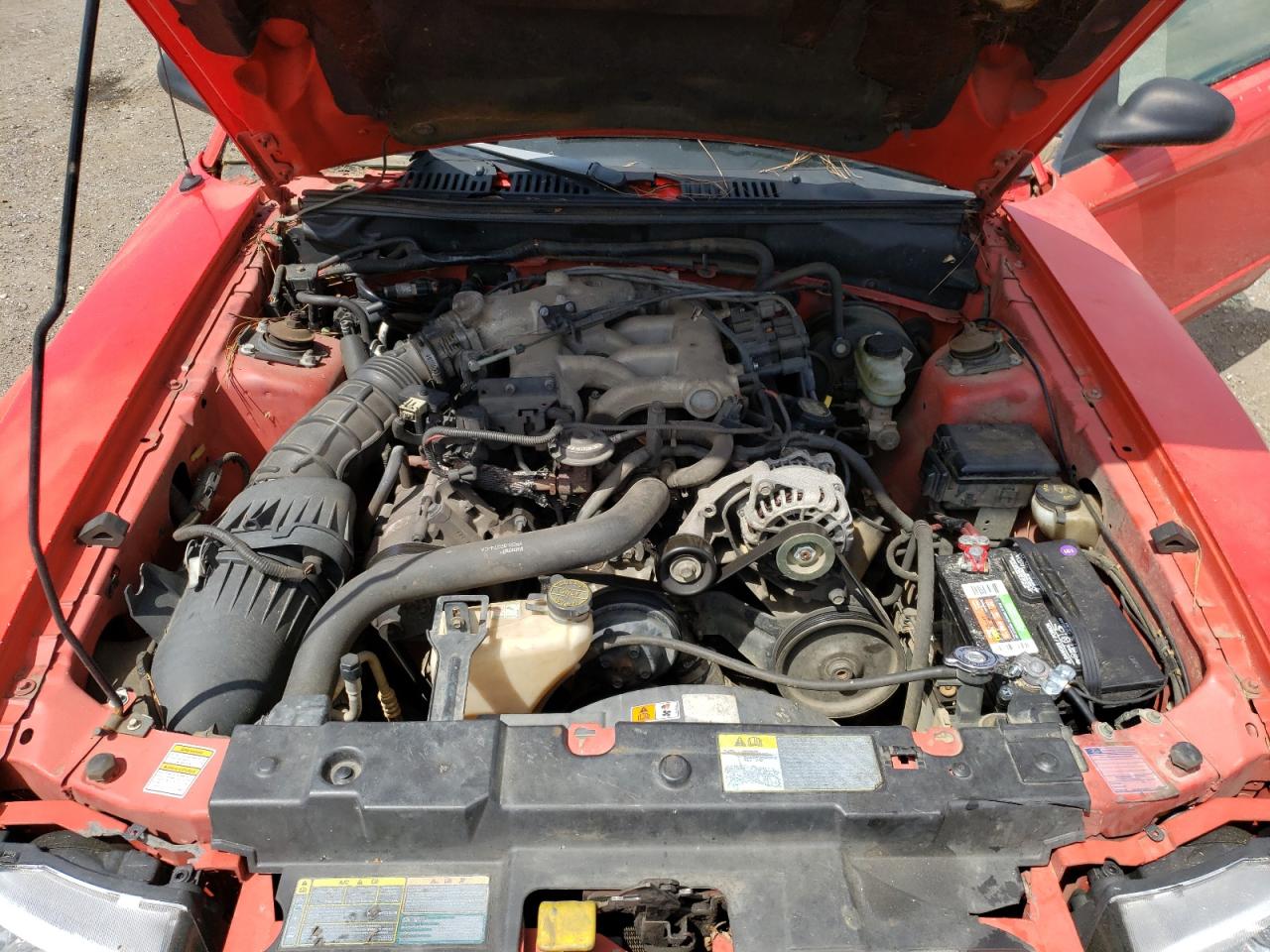Photo 7 from auction – 2001 FORD MUSTANG with VIN 1FAFP40431F113977