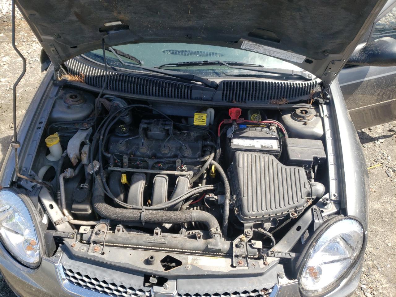Photo 7 from auction – 2005 DODGE NEON SXT with VIN 1B3ES56C85D127837