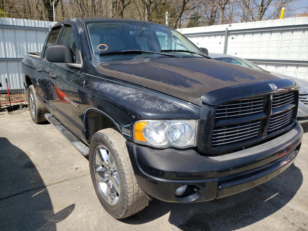 DODGE RAM 1500 S 2003 with VIN 1D7HU18D53S244262 - Photo from auction