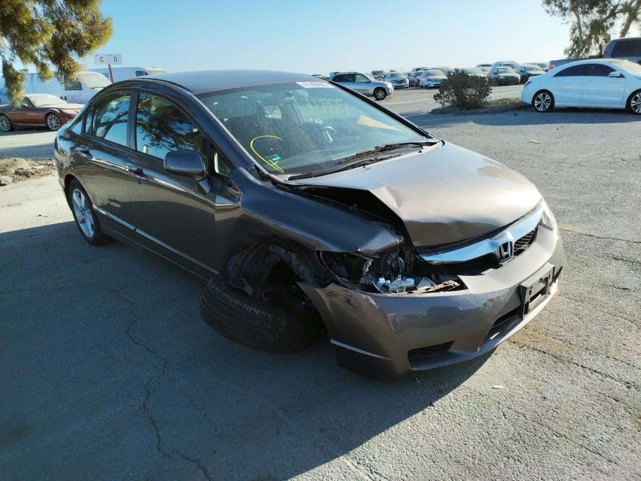 HONDA CIVIC LX-S 2010 with VIN 19XFA1F63AE023970 - Photo from auction