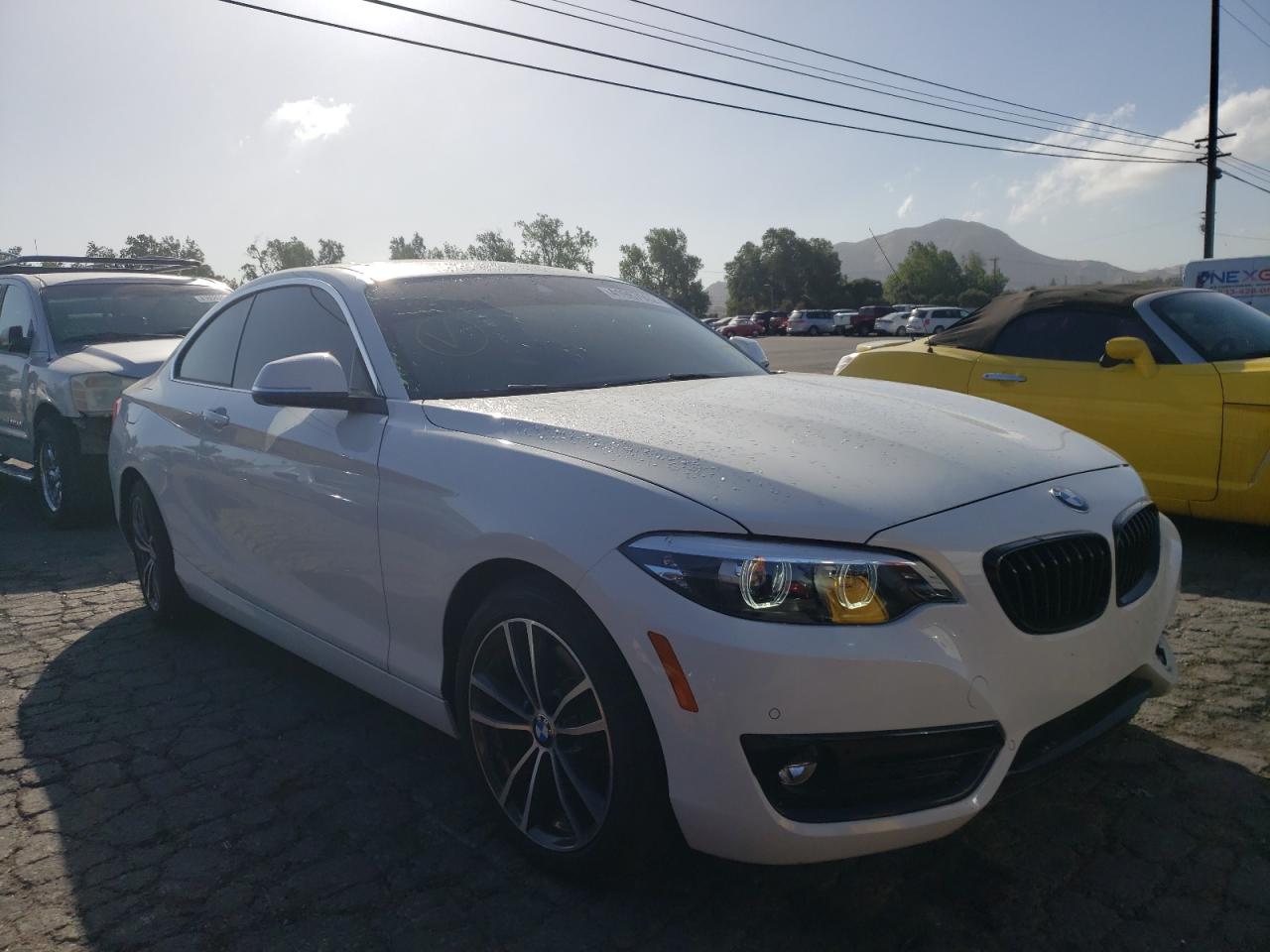 BMW 230I 2019 with VIN WBA2J1C59KVD09961 - Photo from auction