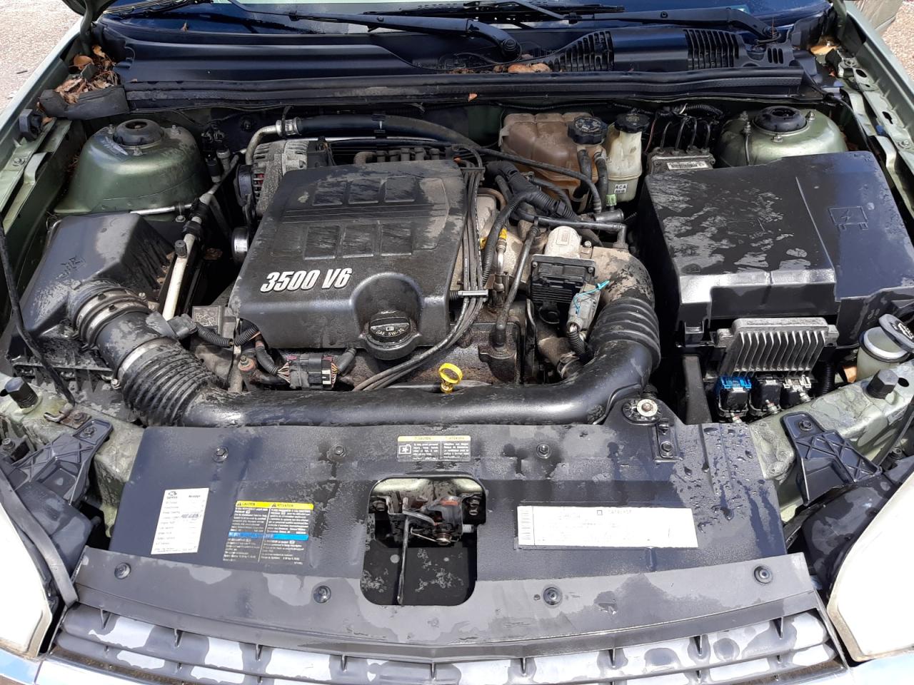 Photo 7 from auction – 2005 CHEVROLET MALIBU MAX with VIN 1G1ZT62875F289119