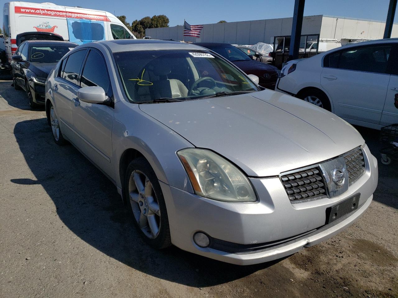 NISSAN MAXIMA SE 2004 with VIN 1N4BA41E34C827900 - Photo from auction