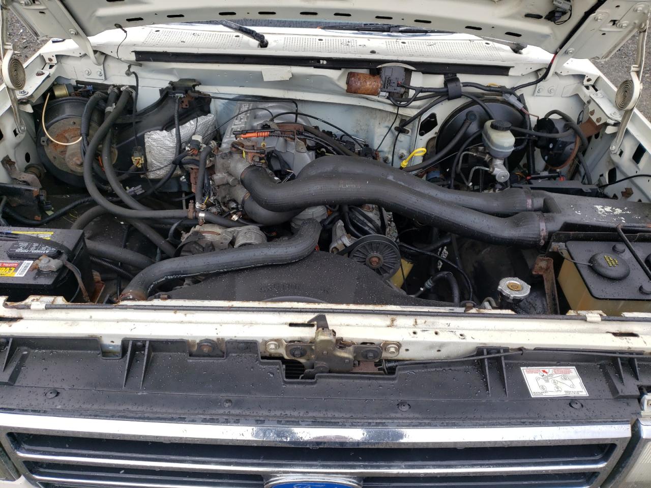 Photo 7 from auction – 1990 FORD F150 with VIN 1FTEF14N4LPB03157