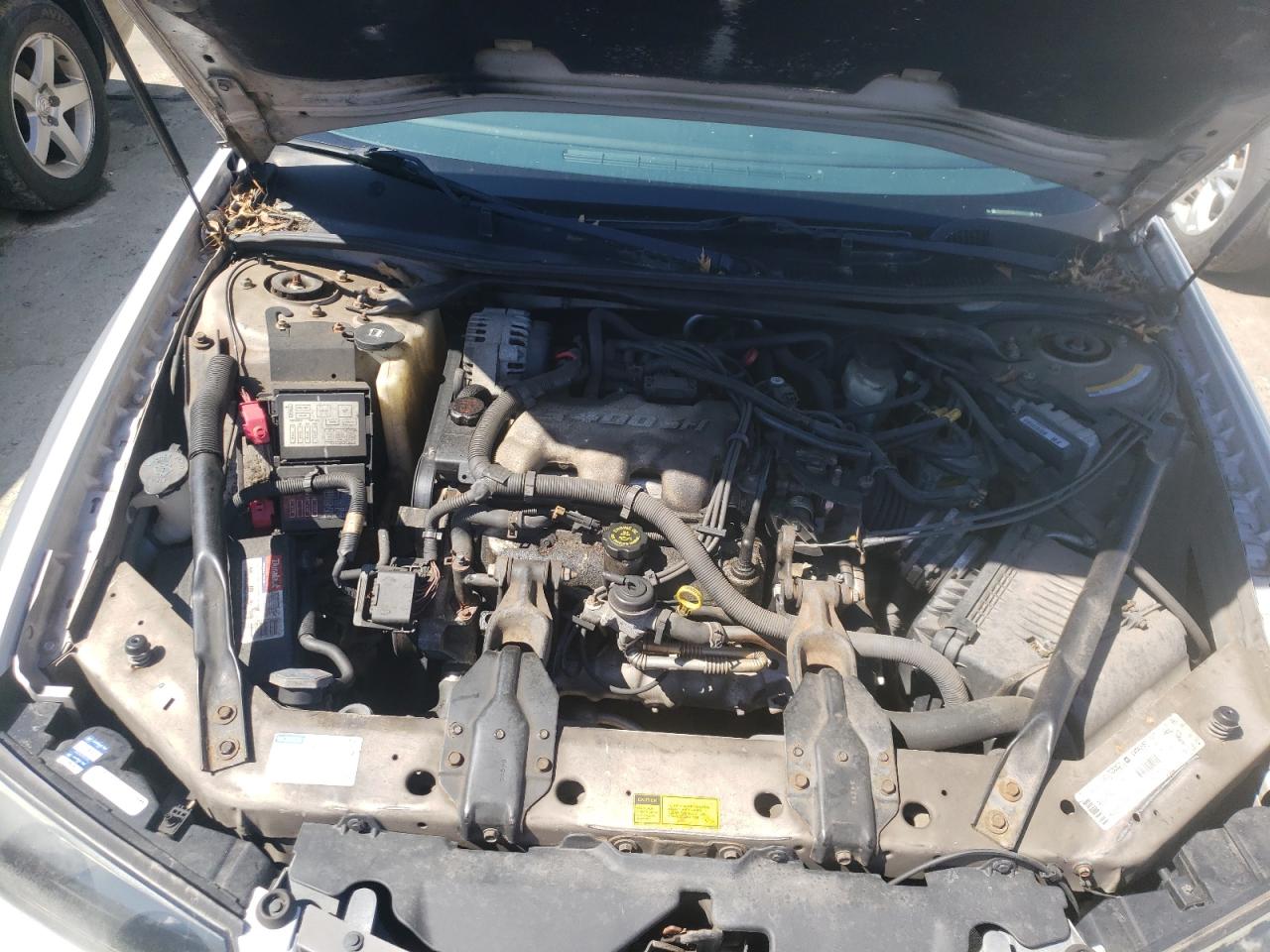 Photo 7 from auction – 2000 CHEVROLET IMPALA with VIN 2G1WF55E7Y9261789