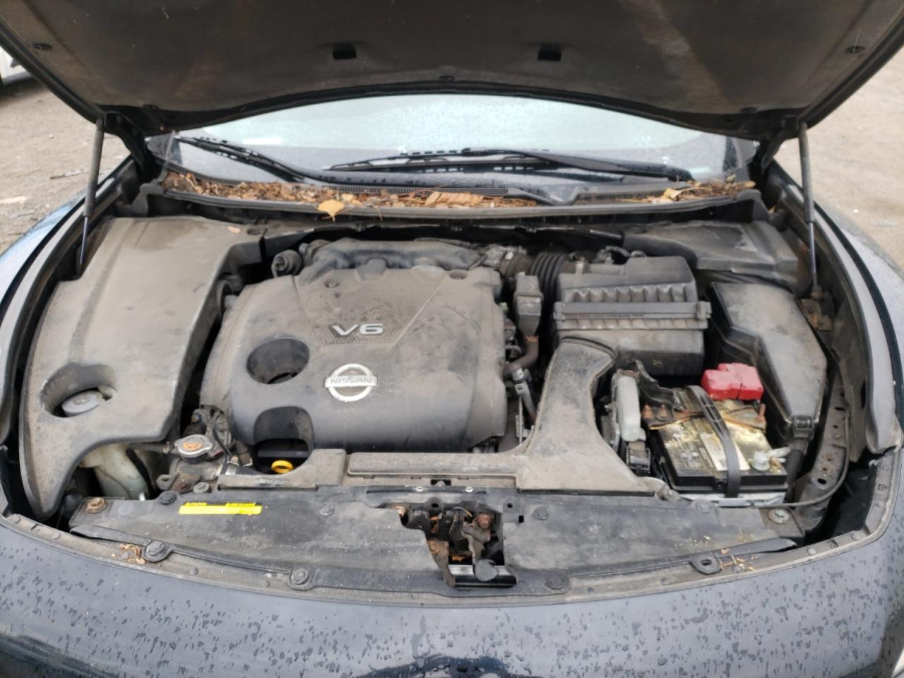 Photo 7 from auction – 2009 NISSAN MAXIMA S with VIN 1N4AA51E89C851554