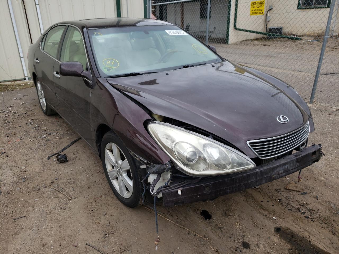 LEXUS ES 330 2005 with VIN JTHBA30G055068960 - Photo from auction