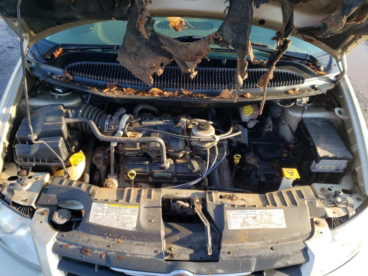 Photo 7 from auction – 2006 CHRYSLER TOWN & COU with VIN 1A4GP45R06B745802