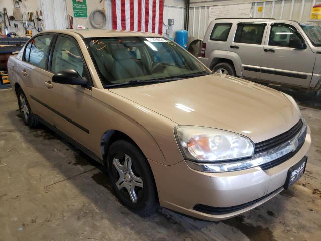 CHEVROLET MALIBU 2004 with VIN 1G1ZS52F44F191790 - Photo from auction