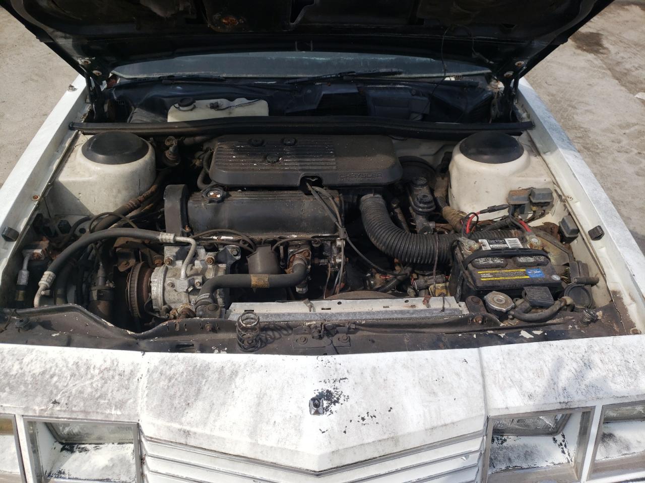 Photo 7 from auction – 1986 CHRYSLER 2D with VIN 1B3BV55D0GG282128