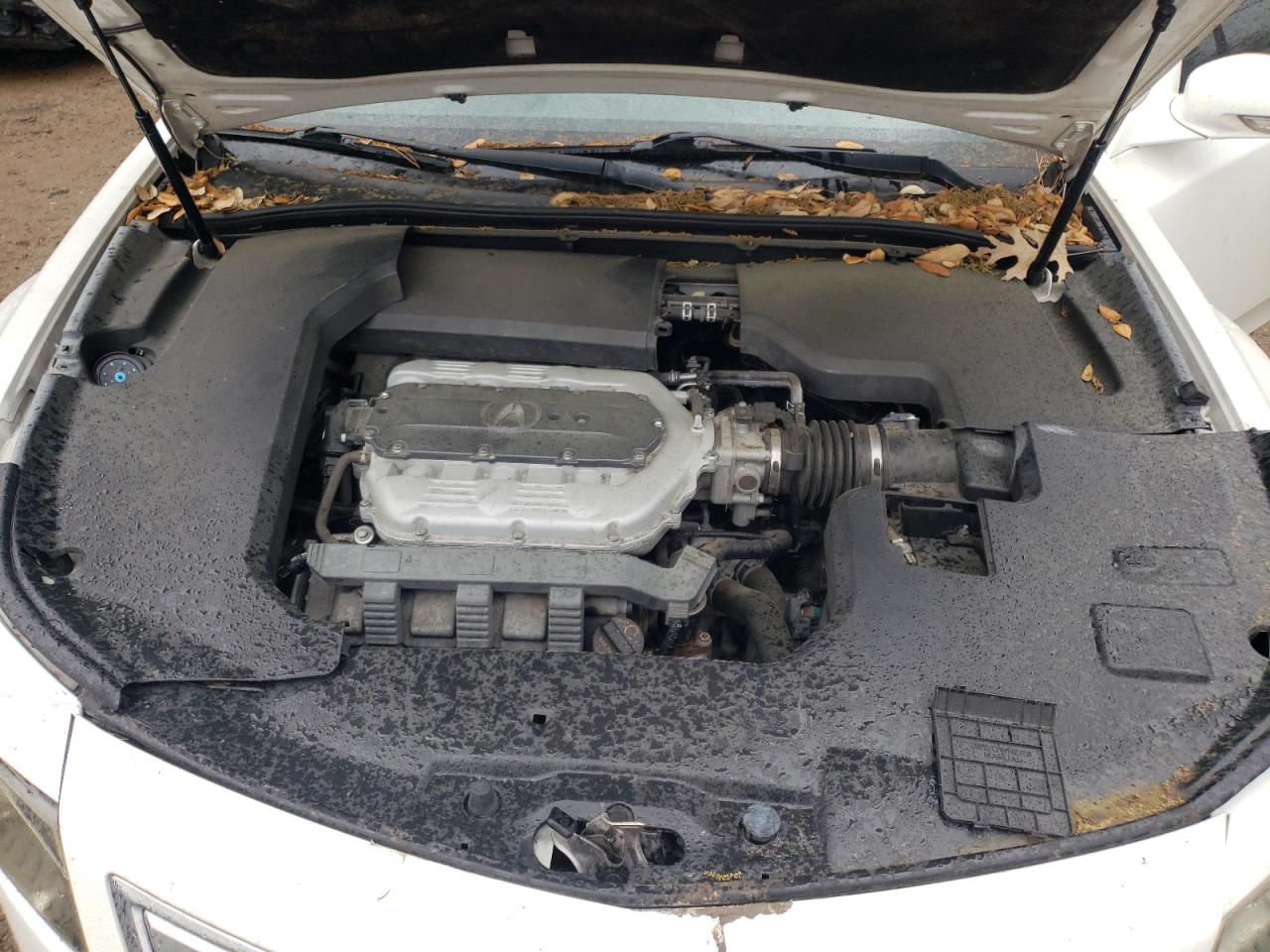 Photo 7 from auction – 2010 ACURA TL with VIN 19UUA9F56AA007229
