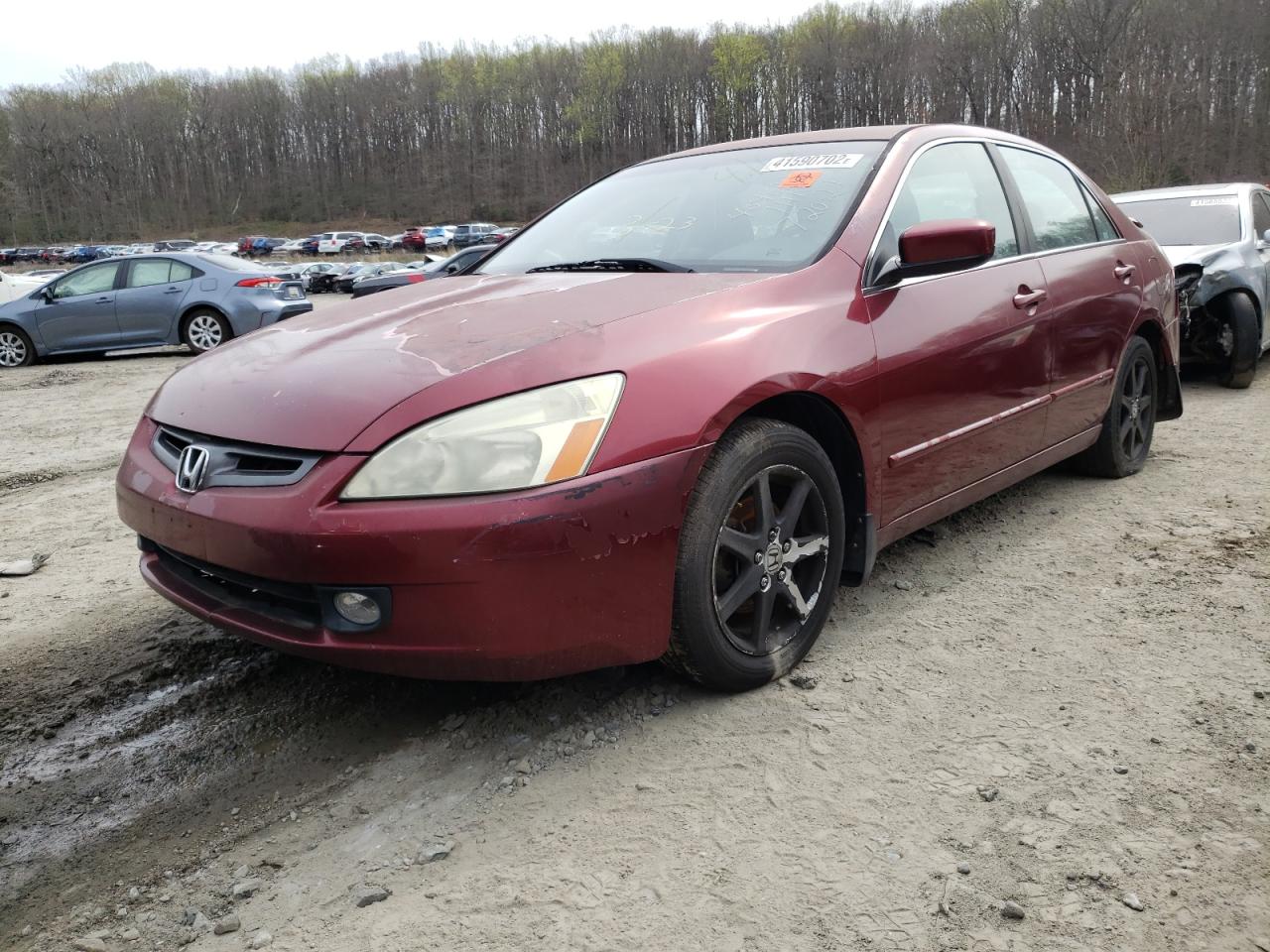 Photo 2 from auction – 2003 HONDA ACCORD EX with VIN 1HGCM66833A088530