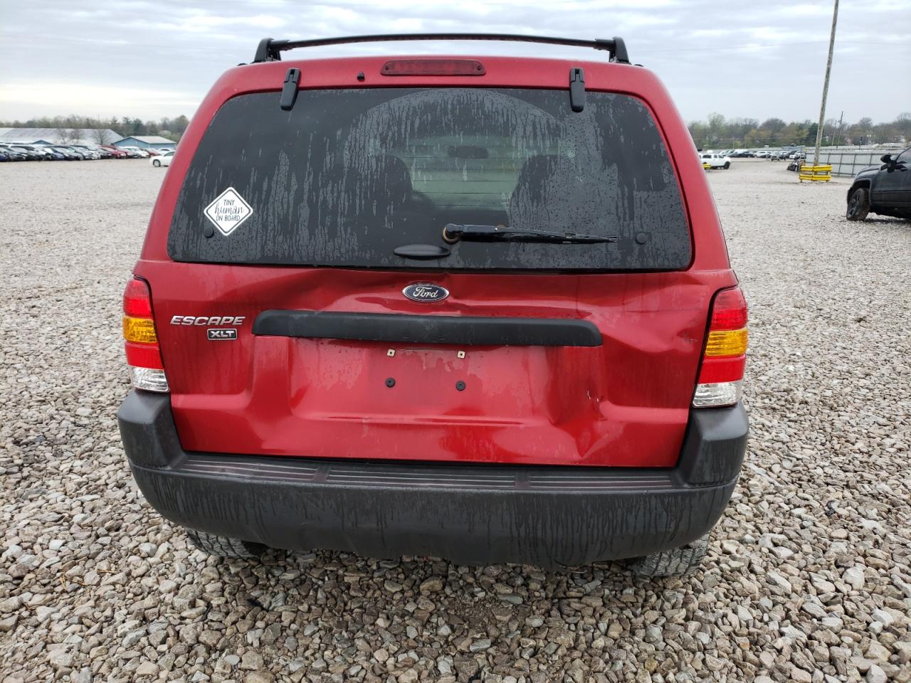 Photo 9 from auction – 2003 FORD ESCAPE XLT with VIN 1FMYU03133KB79991