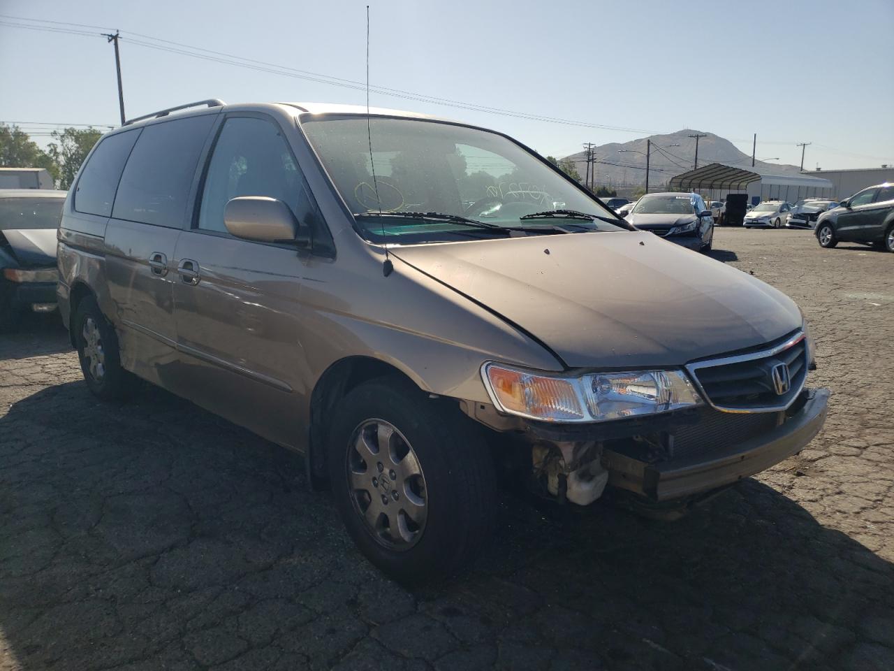 HONDA ODYSSEY EX 2003 with VIN 5FNRL18653B131105 - Photo from auction