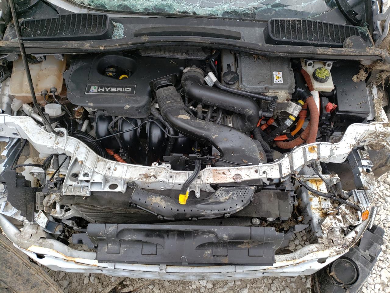 Photo 7 from auction – 2014 FORD C-MAX SE with VIN 1FADP5AU0EL519296