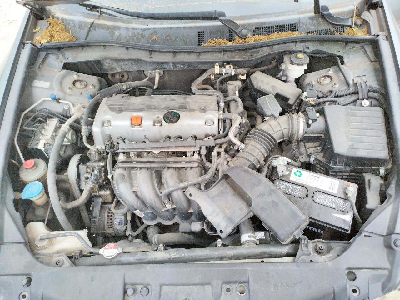 Photo 7 from auction – 2010 HONDA ACCORD LXP with VIN 1HGCP2F41AA027347