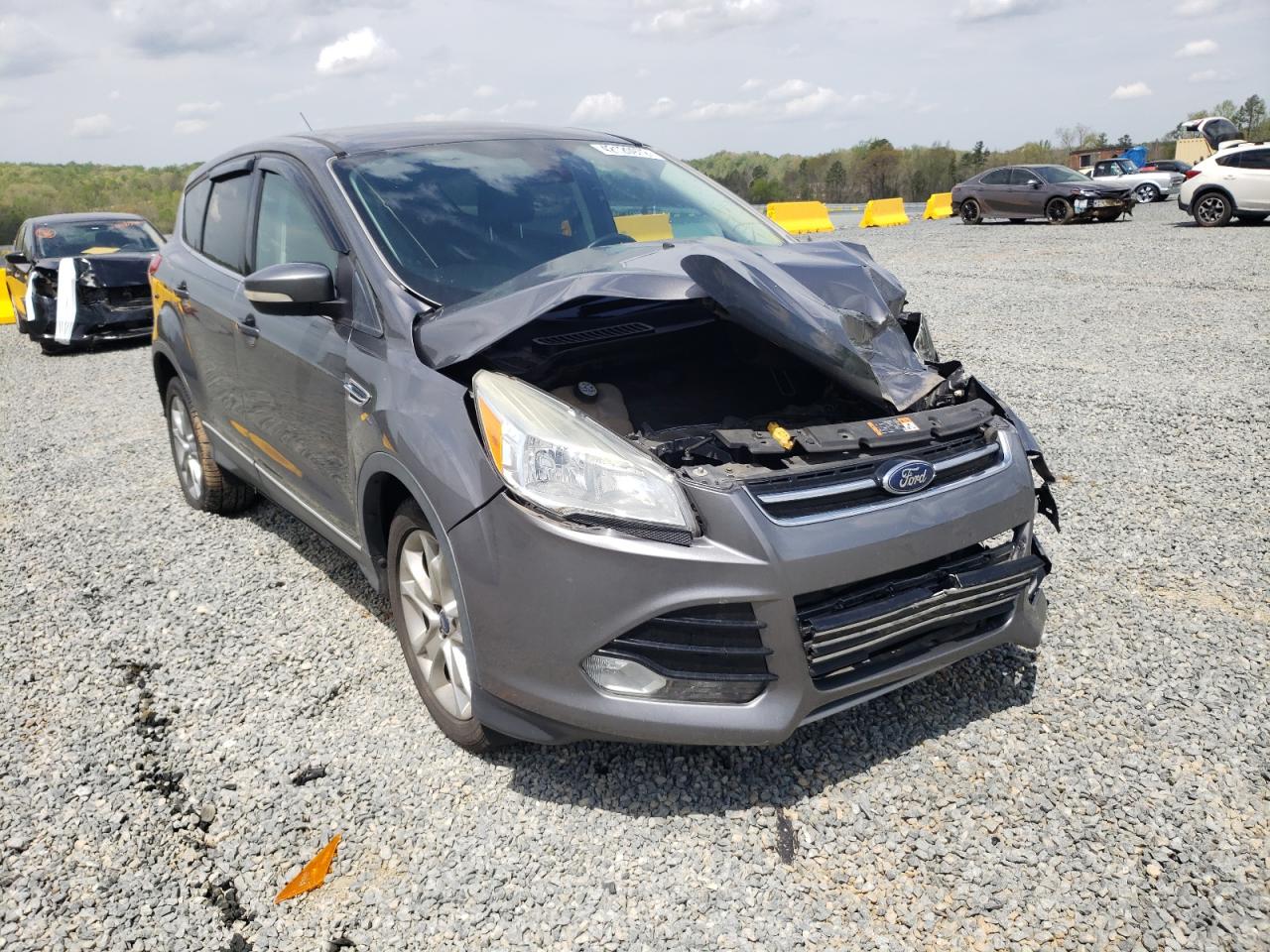 FORD ESCAPE SEL 2013 with VIN 1FMCU0H90DUC47601 - Photo from auction
