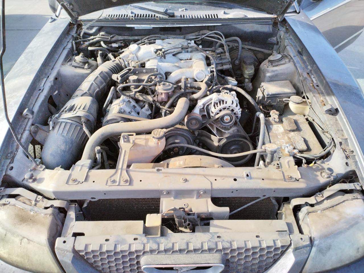 Photo 7 from auction – 2003 FORD MUSTANG with VIN 1FAFP40493F377661