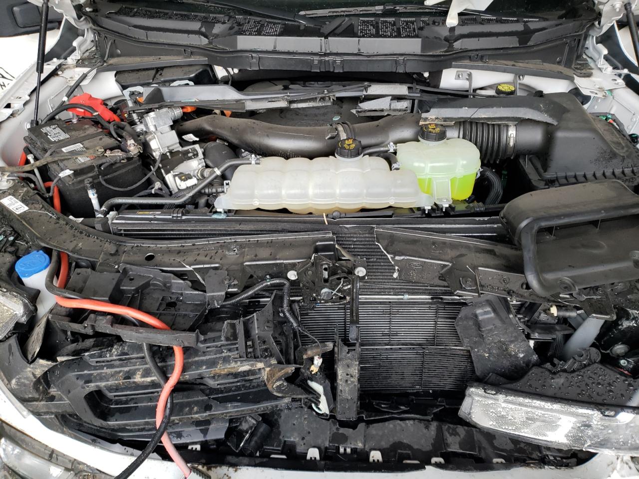 Photo 7 from auction – 2021 FORD F150 SUPER with VIN 1FTFW1ED3MFA61551