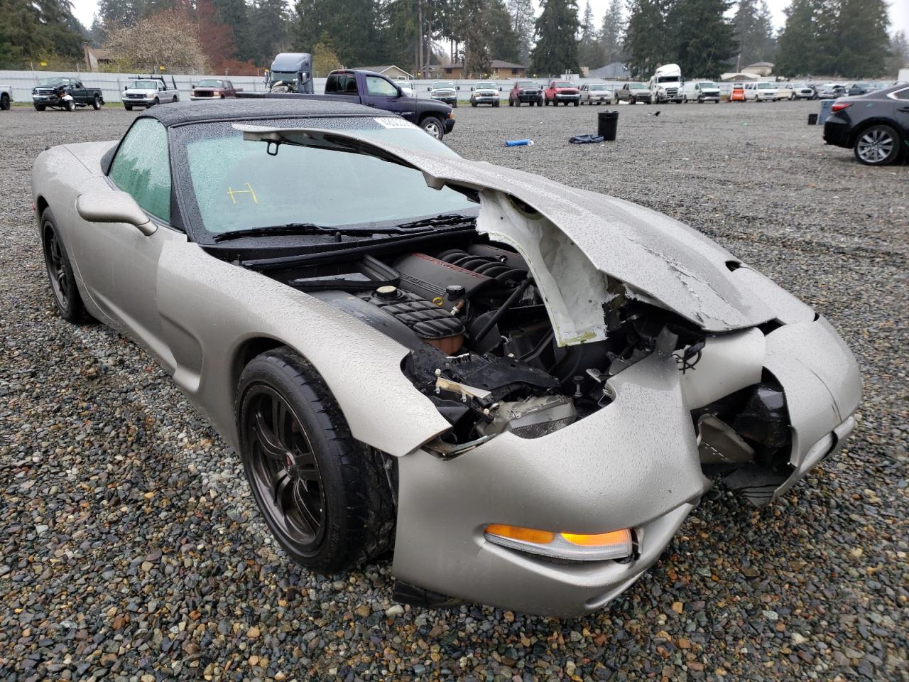 CHEVROLET CORVETTE 2002 with VIN 1G1YY32G925103245 - Photo from auction