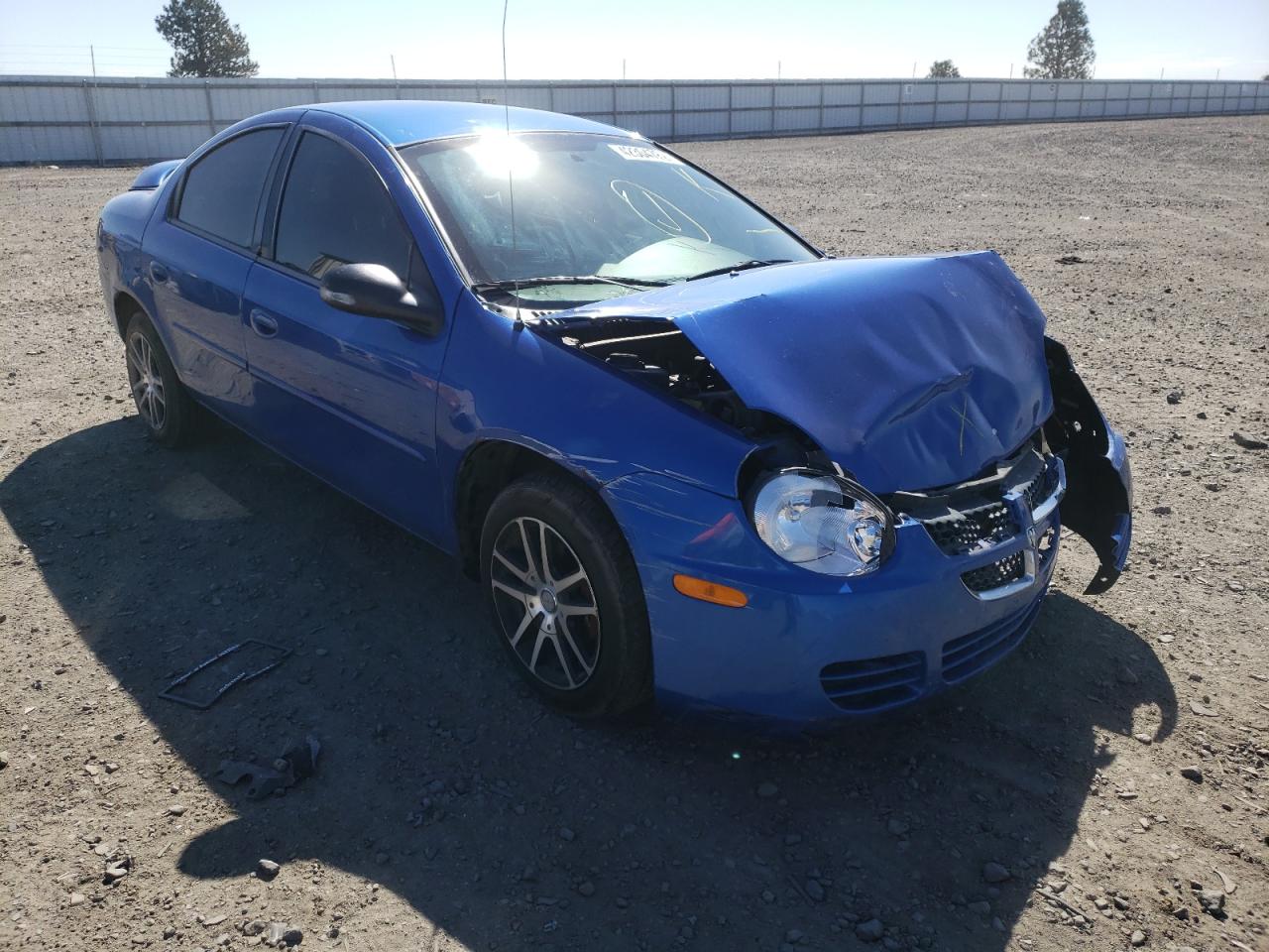 DODGE NEON SXT 2004 with VIN 1B3ES56C24D626017 - Photo from auction
