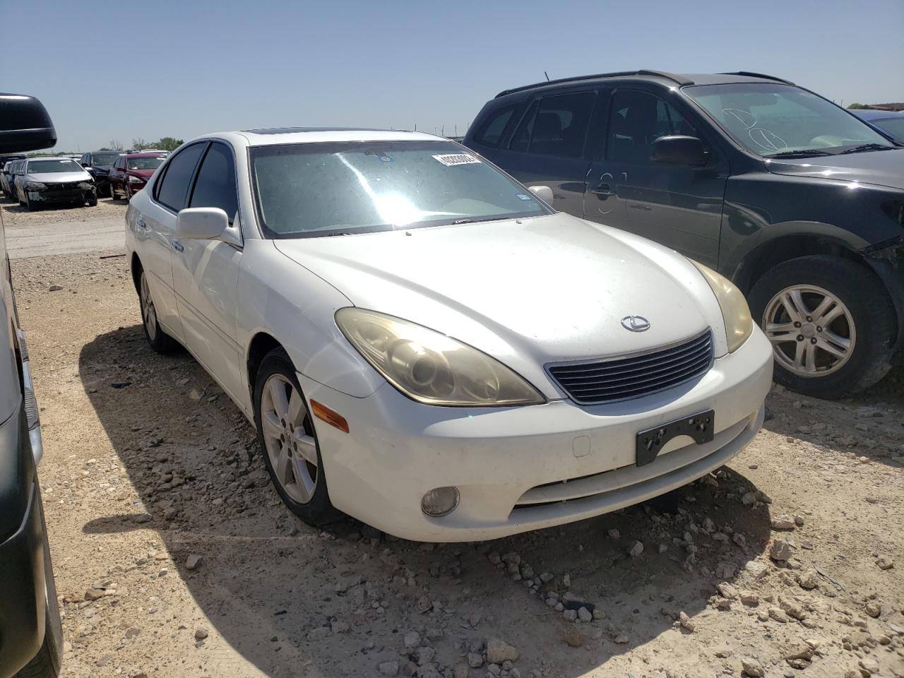 LEXUS ES 330 2005 with VIN JTHBA30G755116003 - Photo from auction