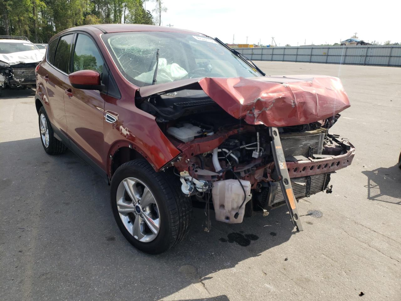 FORD ESCAPE SE 2014 with VIN 1FMCU0GX4EUB92894 - Photo from auction