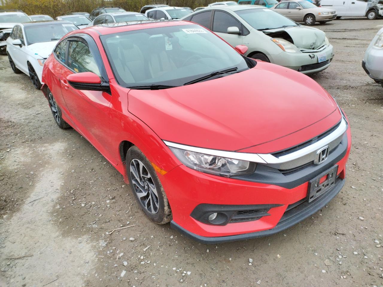 HONDA CIVIC LX 2016 with VIN 2HGFC4B54GH302772 - Photo from auction