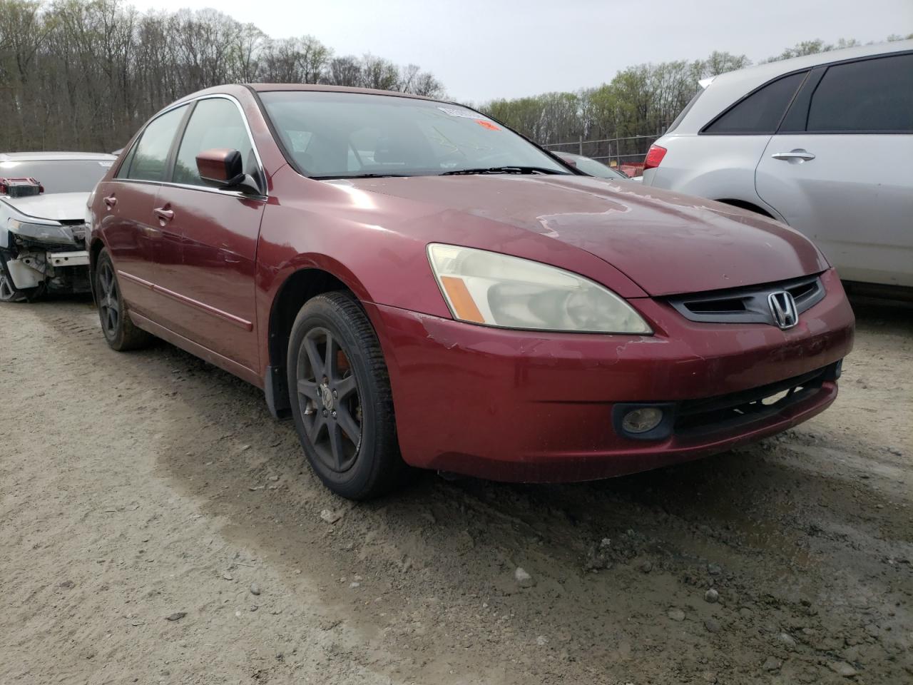 HONDA ACCORD EX 2003 with VIN 1HGCM66833A088530 - Photo from auction