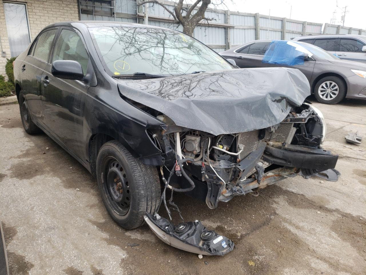 TOYOTA COROLLA BA 2010 with VIN 1NXBU4EE3AZ303935 - Photo from auction
