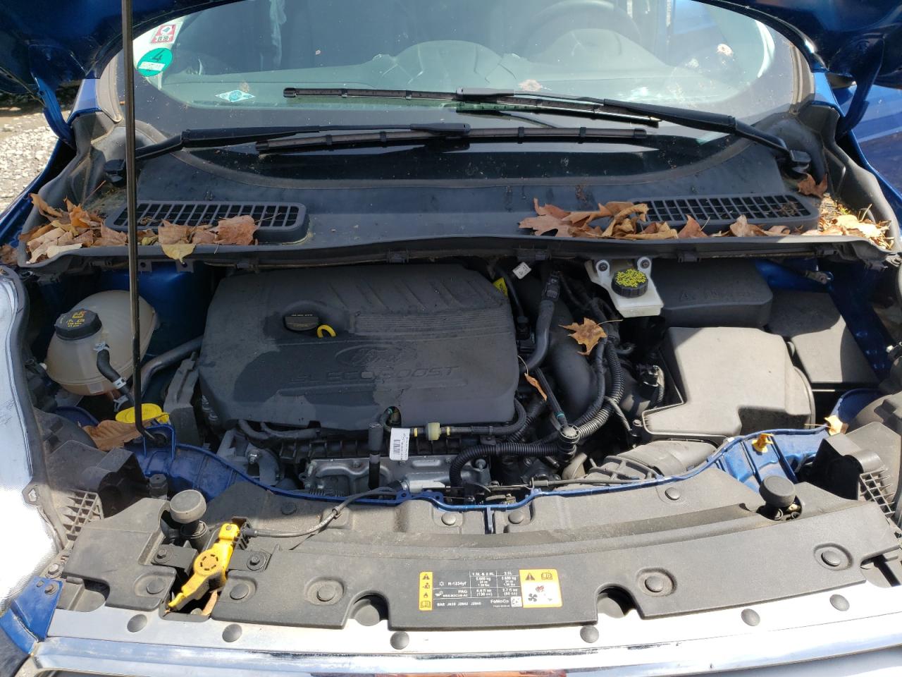 Photo 7 from auction – 2017 FORD ESCAPE SE with VIN 1FMCU9GD6HUC36649
