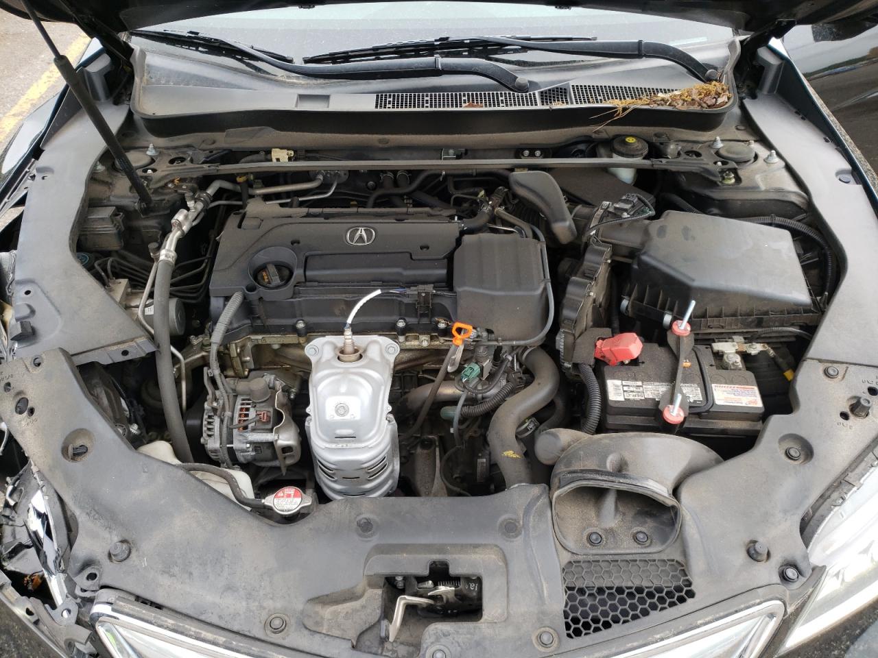Photo 7 from auction – 2015 ACURA TLX with VIN 19UUB1F33FA011159
