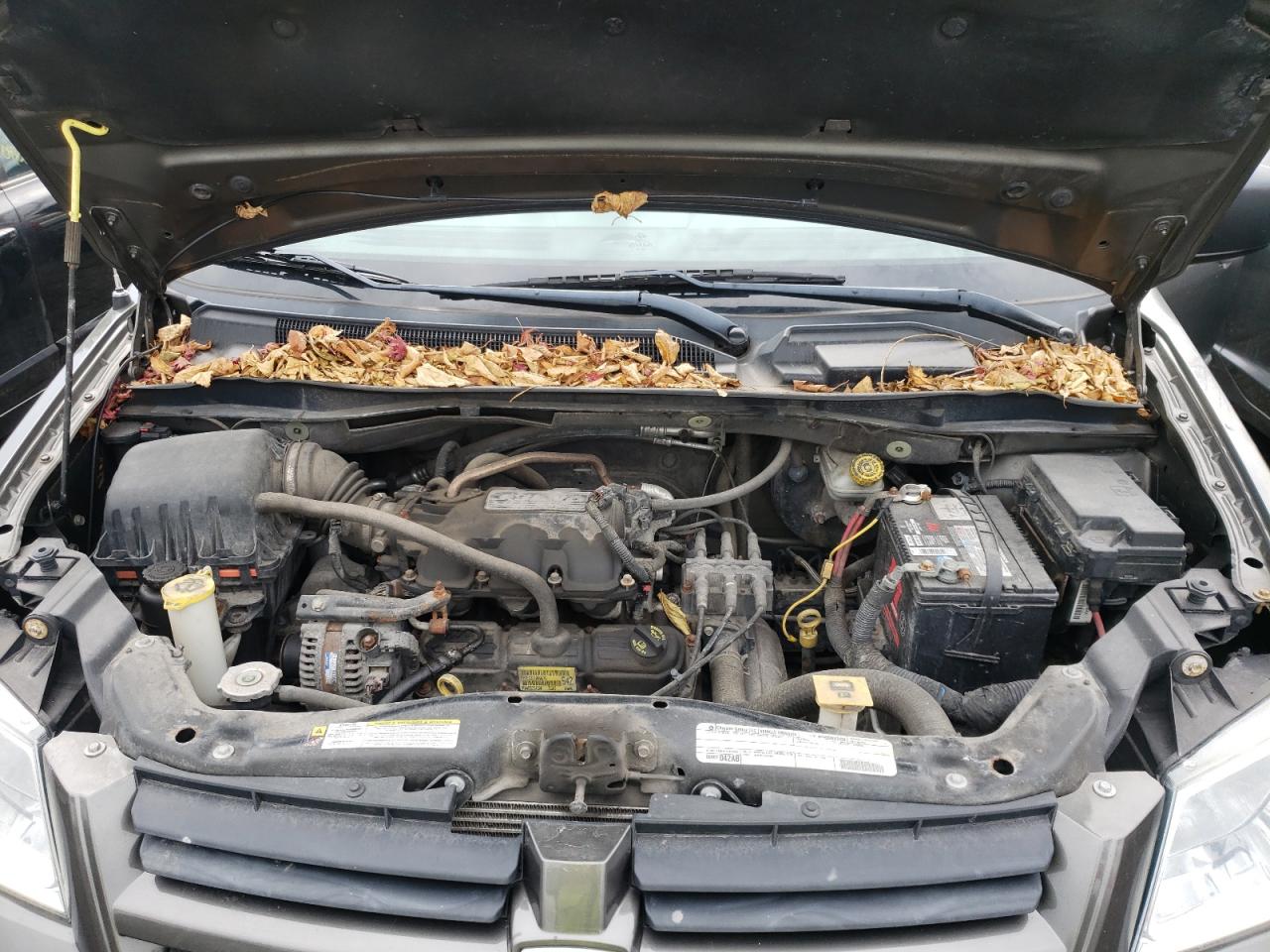 Photo 12 from auction – 2010 DODGE GRAND CARA with VIN 2D4RN4DE2AR454122